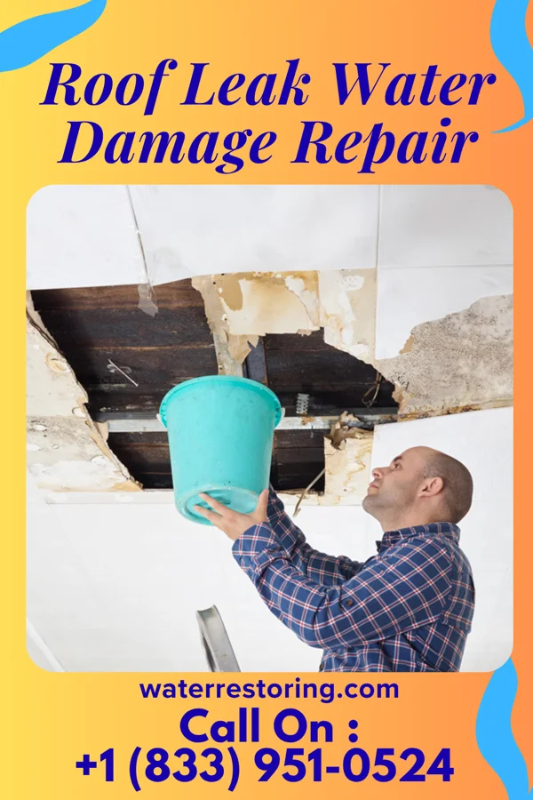 Roof Leak Water Damage Repair in Belfast, ME